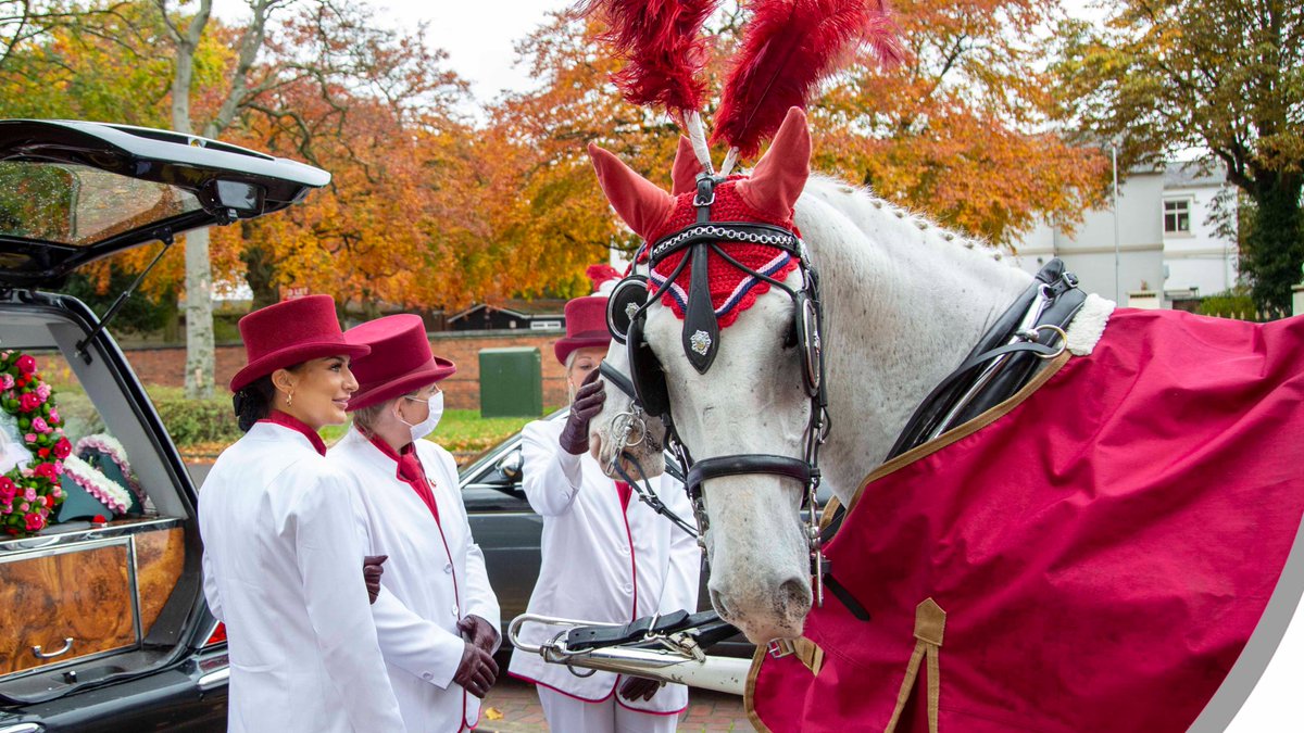 Walsh_Funerals's tweet photo. Today is National Hat Day. This gives us a good excuse to share an image of our 'Ladies in White' wearing their hats, which I think you'll agree look very smart. One of our horse friends are definitely not camera shy!
#NationalHatDay #walsall #westbromwich #ladiesinwhite #horse https://t.co/CeTSrTqjQV