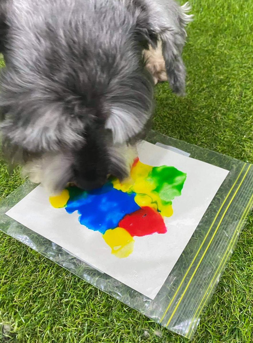 suzette_araujoy's tweet photo. Por favor vean que feliz es pintando con su nariz 😭 https://t.co/6ZPIb1iJBB