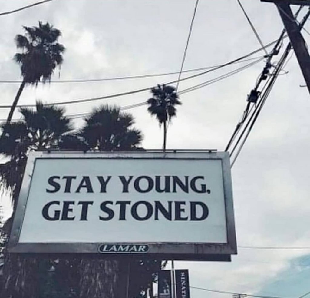 canngaroo's tweet image. Stay stoned my friends 😉💚💨💨