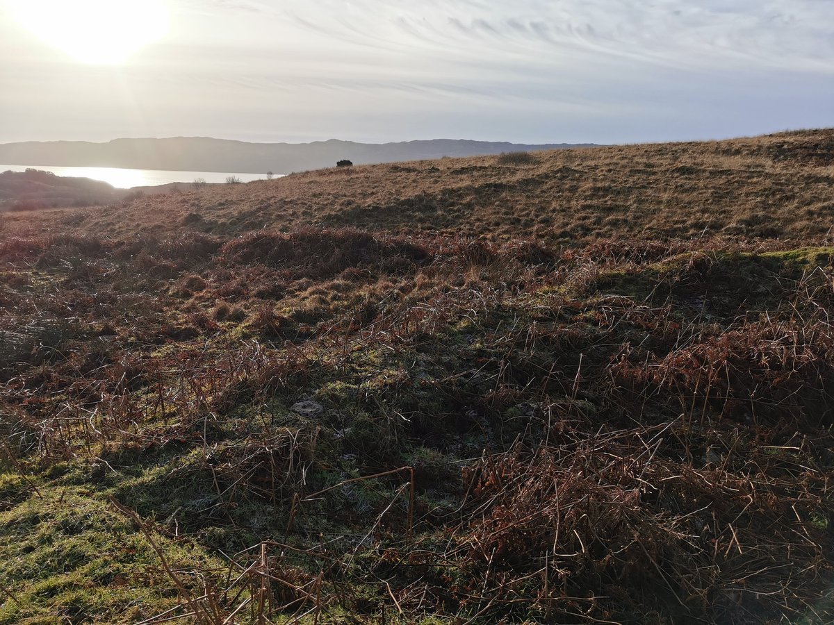 The chapel is about 8x4m, with drystone walls 1m thick. The enclosure is 36x28m. The camera struggles to pick the detail out amidst the bracken, but the site has an impressive situation with views across Loch Fyne. There're a dozen other early med. sites like this across Cowal.