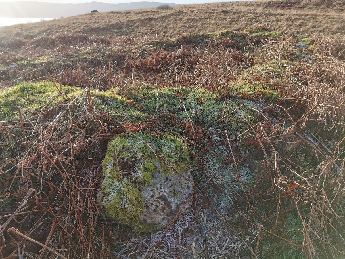 The chapel is about 8x4m, with drystone walls 1m thick. The enclosure is 36x28m. The camera struggles to pick the detail out amidst the bracken, but the site has an impressive situation with views across Loch Fyne. There're a dozen other early med. sites like this across Cowal.