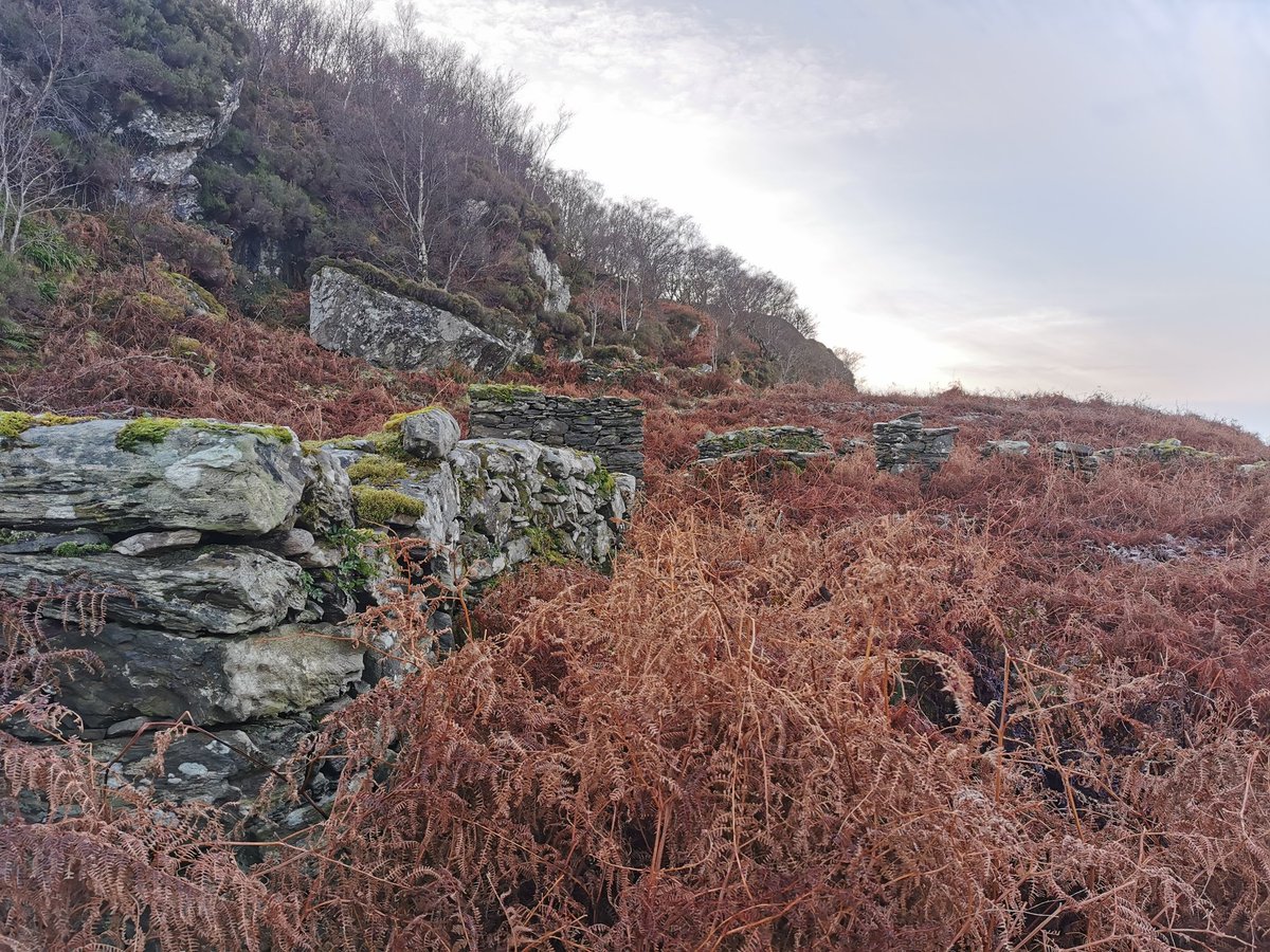 There are ruins on the island, but likely farmhouses of a later date. This was a beautiful place to explore and just a taste of the history Cowal has to offer. Thanks for reading if you made it this far!  #historicscotland
