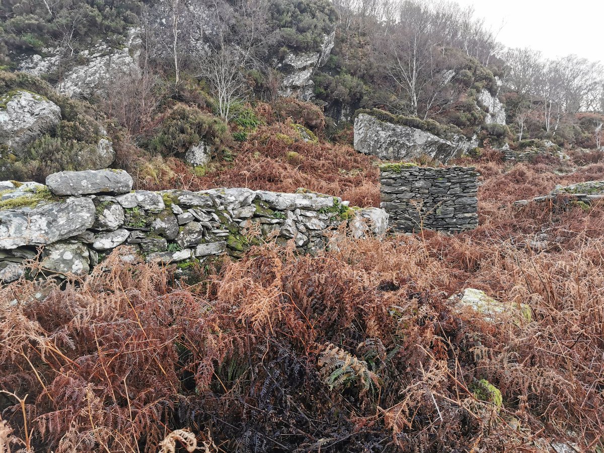 There are ruins on the island, but likely farmhouses of a later date. This was a beautiful place to explore and just a taste of the history Cowal has to offer. Thanks for reading if you made it this far!  #historicscotland