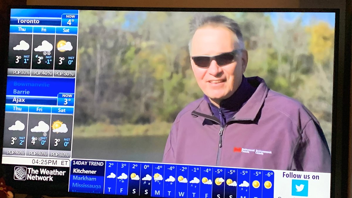 Laura Brown tweet media