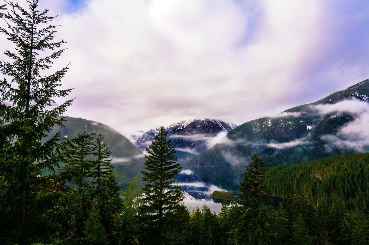 Cory Ingram tweet media