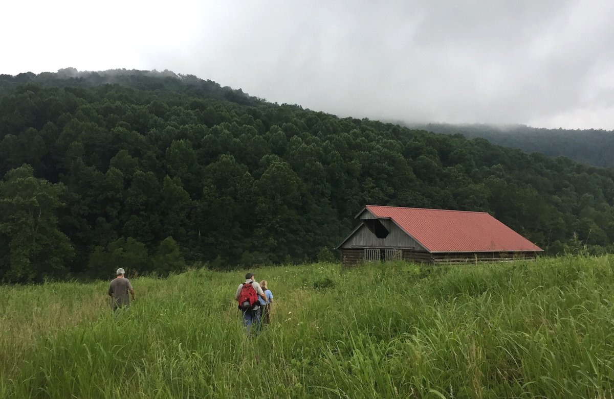 Help us spread the word. <a href="/WPLN/">WPLN News - Nashville Public Radio</a> is partnering with <a href="/Report4America/">Report for America</a> to create a new environmental beat. The deadline is Jan. 31. APPLY:

nashvillepublicradio.org/employment-opp…