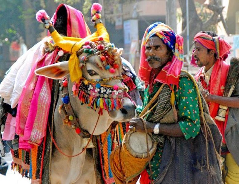 Sankranti is a Hindu festival celebrated in various cultures in almost all parts India & Nepal. This Harvest festival has different names in different states but the essence of this festival is same accross the country. Respect the  #Farmer,Farm Animals & the Farm Harvest.