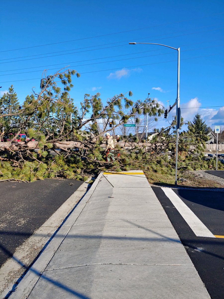 IdahoLands's tweet image. High winds in Coeur d&apos;Alene! This giant tree blew over, landing in front of a new Forest Service office, blocking access. An IDL crew came to the rescue. &quot;This is a great example of helping each other get things done!&quot; say our Forest Service neighbors. #windstorm #CdA