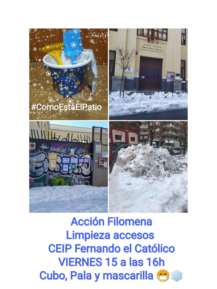 AMPA CEIP Fernando el Católico tweet media