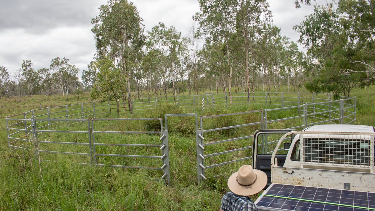 Data_Muster's tweet photo. 🐮DATAMUSTER INSTALL📡
Our Research Officers Dr. Diogo and Dr. Thomas were timed on moving a DataMuster set up from one paddock to another⏱️
Pack Down = 40 mins
Set Up of Infrastructure = 40 mins 
DataHub install and final touches = 40 mins
TOTAL = 2hrs -not including travel time https://t.co/5xU7vrf0Ui
