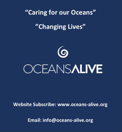 alive_oceans's tweet photo. Oceans Alive Conservation Trust
Non-Profit Organisation
Public Benefit Organisation

“Caring for our Oceans”
https://t.co/GDgbAr6HkE

“Changing Lives”
https://t.co/WL9jb1hiBi

“Conservation Divers”
Seadog Diving Academy
https://t.co/b78FvVMwkS

OUR OCEANS - OUR FUTURE https://t.co/jNnrYSGAgs