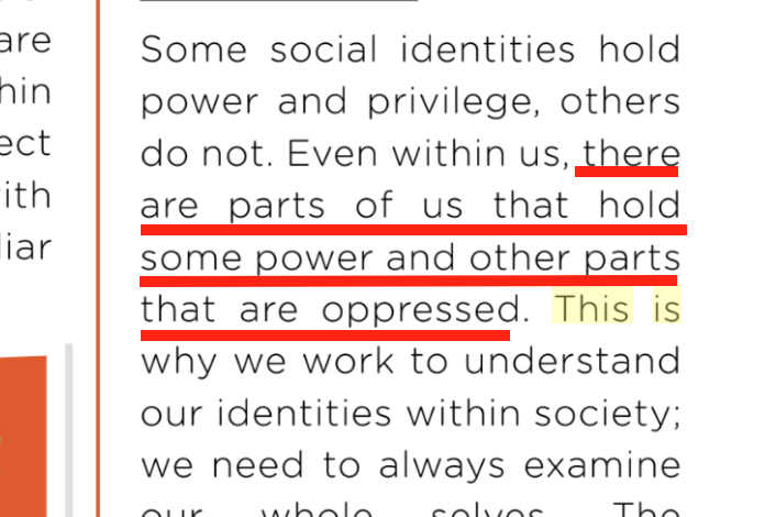 In a related assignment assignment, the children were asked to write short essays describing which aspects of their identities "hold power and privilege" and which are "oppressed"—in effect, ranking themselves according to the intersectional hierarchy.