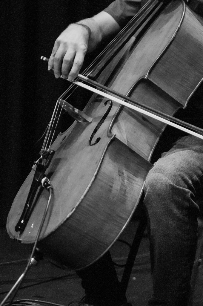 gjso's tweet photo. The cello possesses a wide variety of differing tone colors and means of expression, ranging from the calm and solemn in the lower register to bursts of passion in the uppermost register.
Do you know anyone who plays the cello?
#GJSO #GrandJunction #GJSymphony https://t.co/vptuPPgGDG