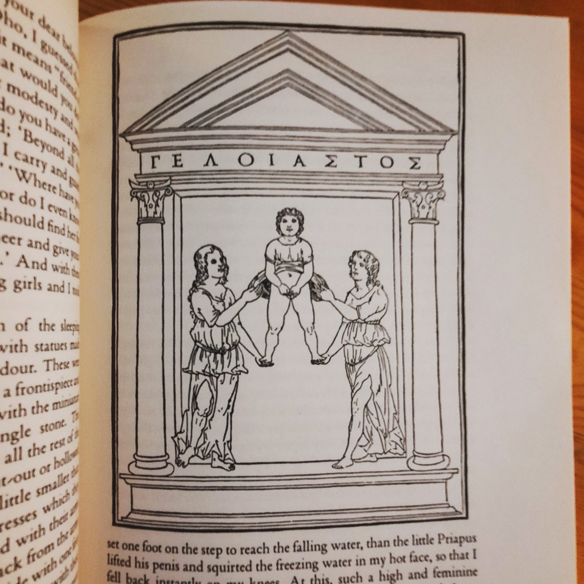 The Chemical Wedding reminds me a lot of another book I picked up recently, the Hypnerotomachia Poliphili... both seem to be the wanderings of a simple character through an ornate hermetic dreamlike landscape... the translator of this also translated the Rosicrucian trilogy...