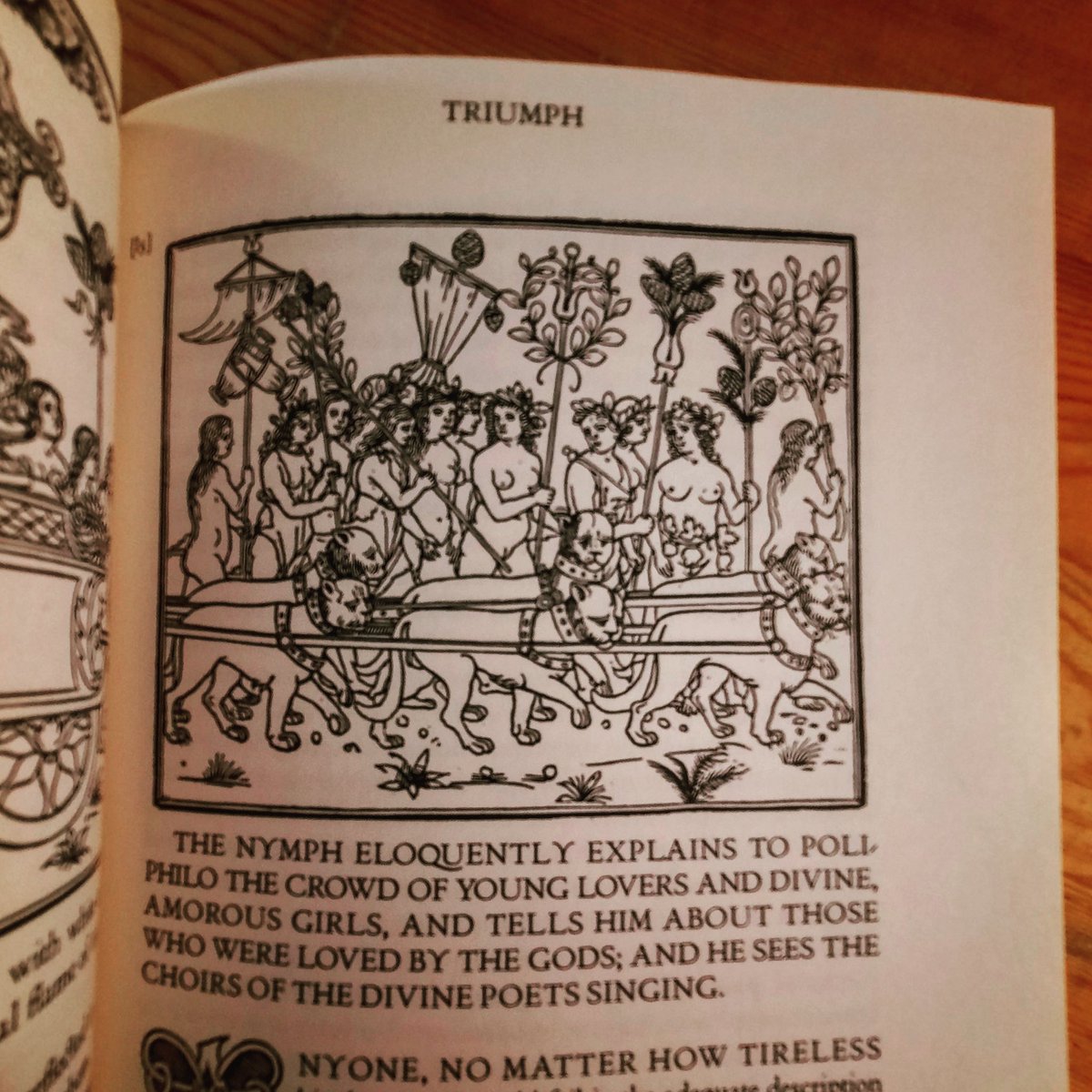 The Chemical Wedding reminds me a lot of another book I picked up recently, the Hypnerotomachia Poliphili... both seem to be the wanderings of a simple character through an ornate hermetic dreamlike landscape... the translator of this also translated the Rosicrucian trilogy...