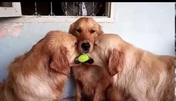 Harden, Durant, and Kyrie