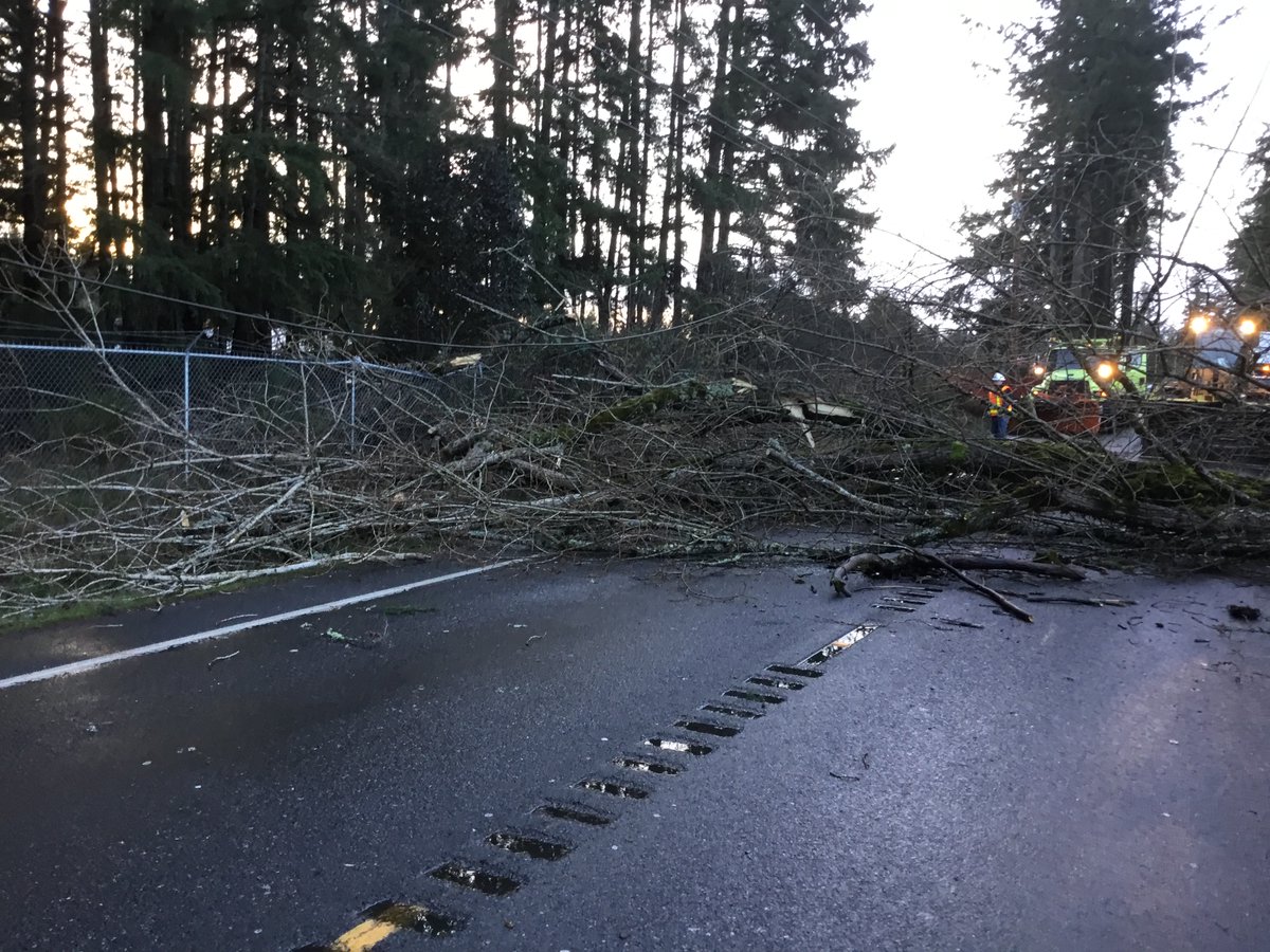 Thurston County: SR 510 in Yelm. After utility crews remove the downed power lines, we'll be able to clear the trees. (3/6)