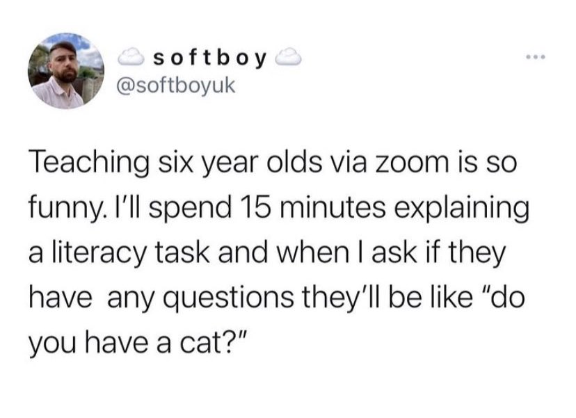 the accuracy of this . lol  #virtuallearning #kindergarten #onlineteaching #teachertwitter