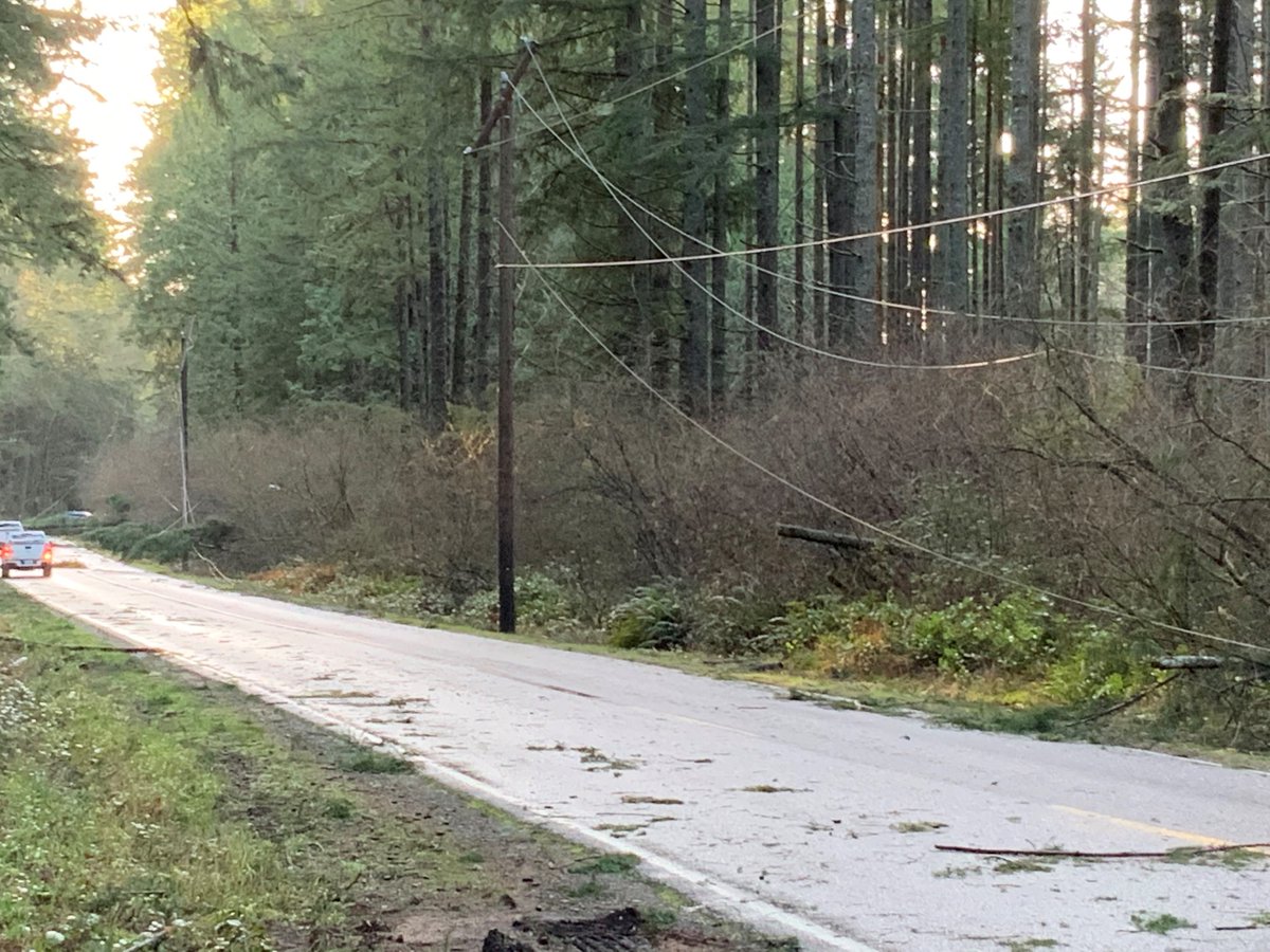 Thurston County: SR 121 near Millersylvania State Park. The road is closed at Maytown Rd and 113th. There’s a tree down on power lines and blocking the road near the park entrance. (4/6)