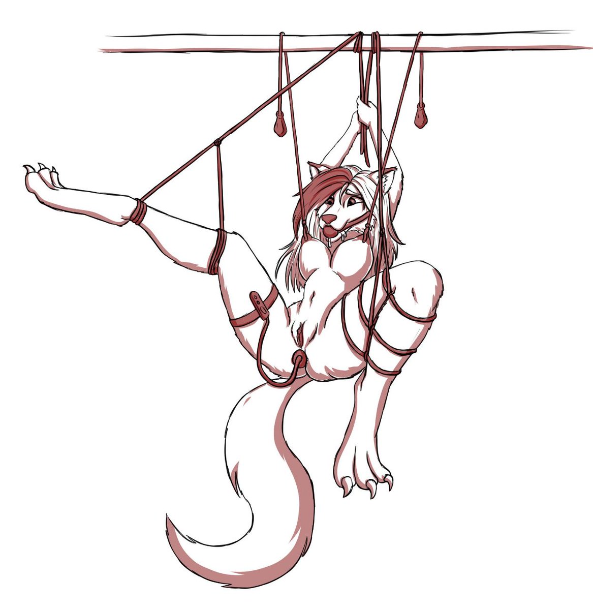 Blaze Lupus tweet media