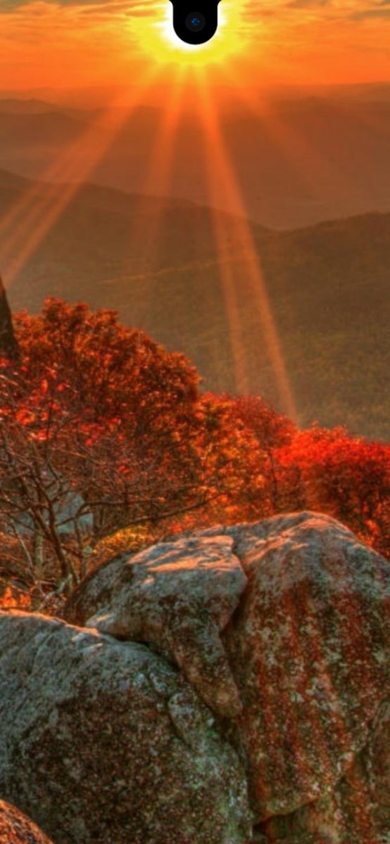 Droidfather_'s tweet photo. Notch walls

#Android #wallpapers https://t.co/h7meqXRjHx