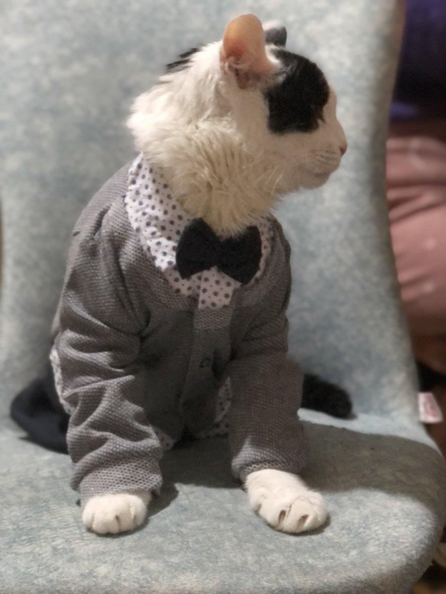 Annem felçli kardeşlerime tulum almış bana mankenliğini yapmak düştü... yakışıklı olmuş muyum ?