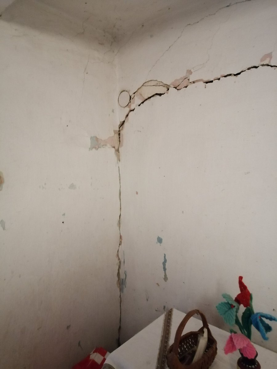 _titi_04's tweet photo. Od prošlog tjedna pokušavam nabaviti kućicu ili kontejner za jednu baku, našu susjedu, prioritet su obitelji i to mi je jasno, ali žena živi ovdje otkad smo mi došli i brine se o svom vrtu i tu je sve njeno. Postoji li način da joj pomognemo? #Petrinja @SOLIDARNAhr @SeverMaja https://t.co/sYGmGAjDbQ