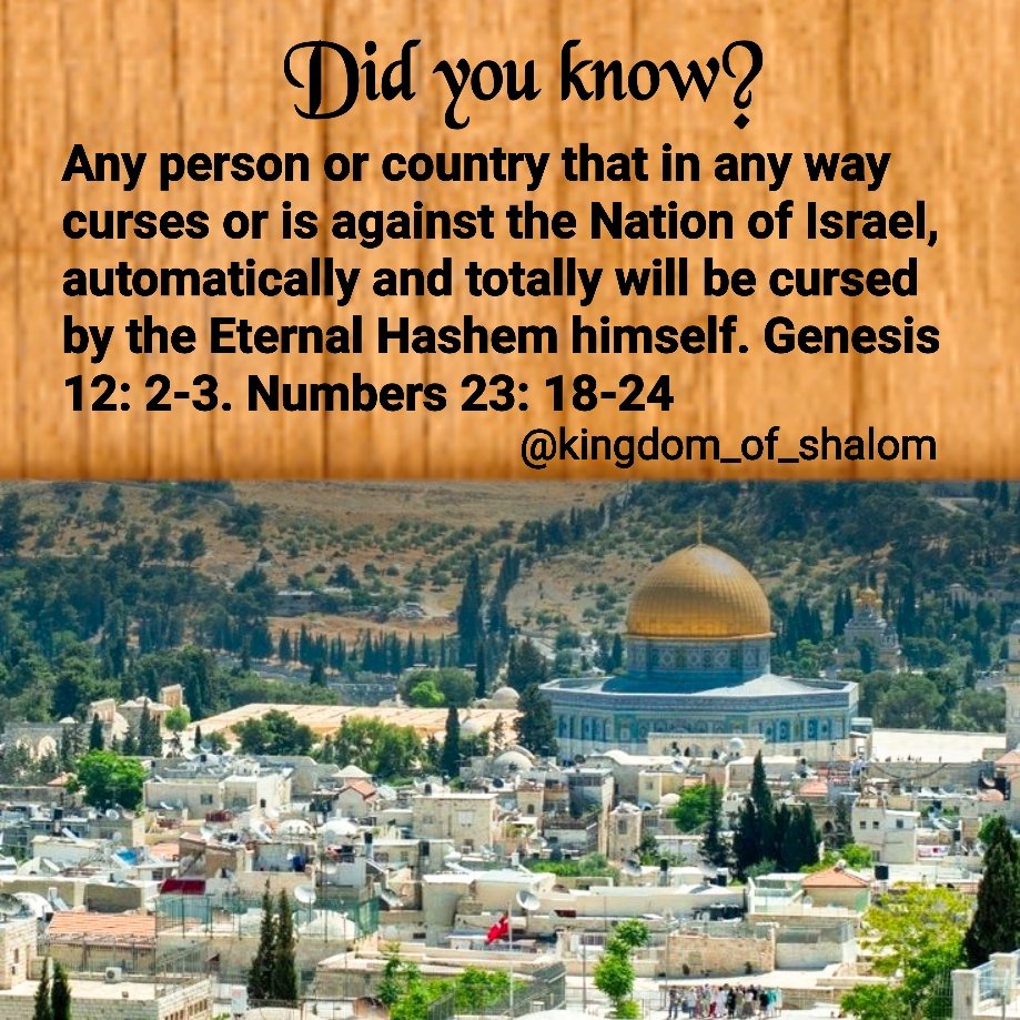 HashemKings tweet picture