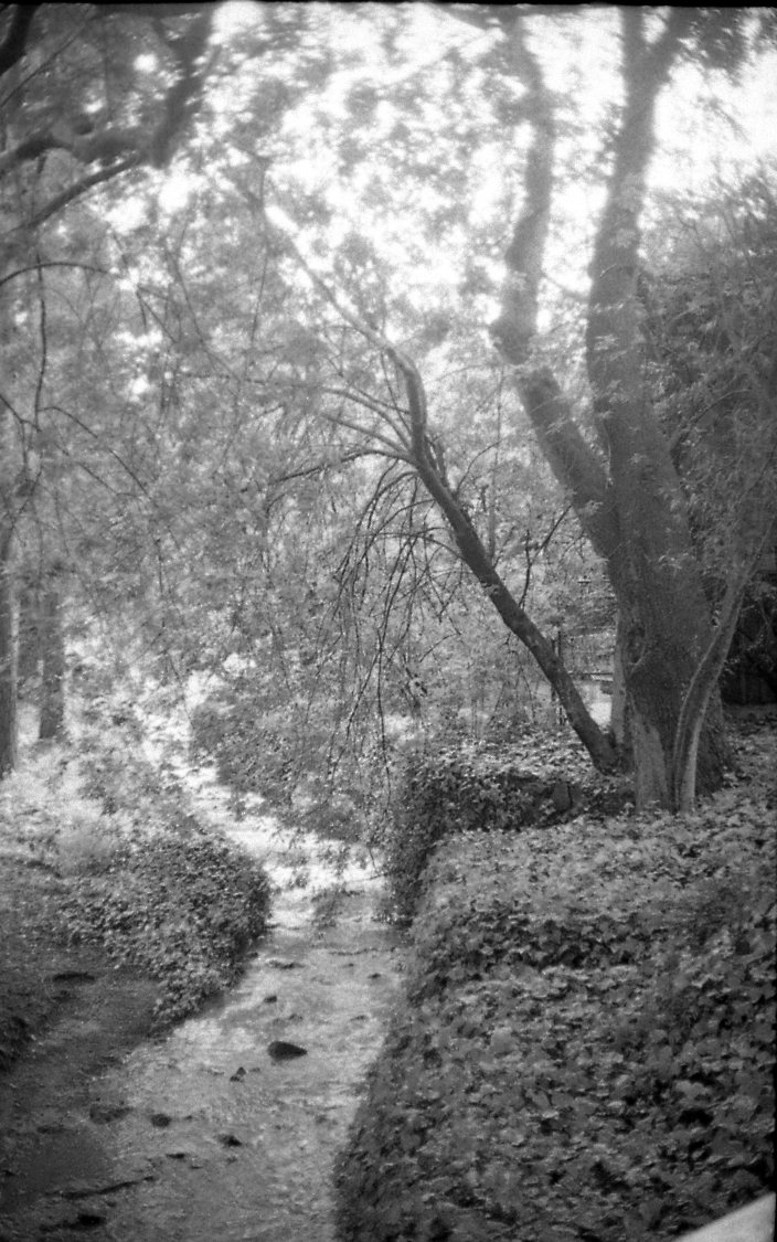 ShutterClickGo's tweet image. It’s been almost a year since I’ve set foot on campus, so here’s a thread on some of my favorite stills

Strawberry Creek shot on #35mm Ilford HP5+