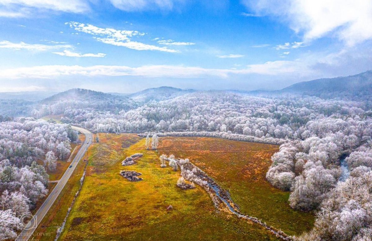 Impressive view of rime ice today caused by freezing fog... from <a href="/capturingcorvin/">Capturing Corvin</a> (IG)