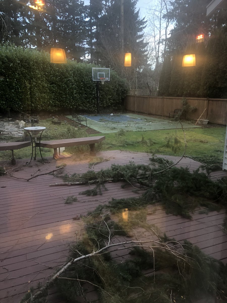 SteveGutzler's tweet photo. We had a major windstorm last night in the Seattle area nearly half million homes lost power >>  this was before and after my cleanup. #seattlepoweroutage #CleanUp https://t.co/cSIY1ZFtQy