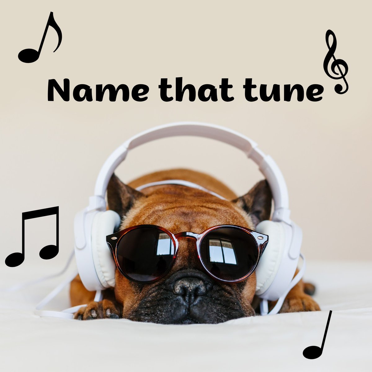 SianCeinwen's tweet photo. Can you name this current tune from this one line??
"I was born to run, I don't belong to anyone, oh no"
Any guesses?
#namethattune #musiclovers #currenttunes #readingcommunity #writingcommunity #bookstagram https://t.co/OWbIa80ey6