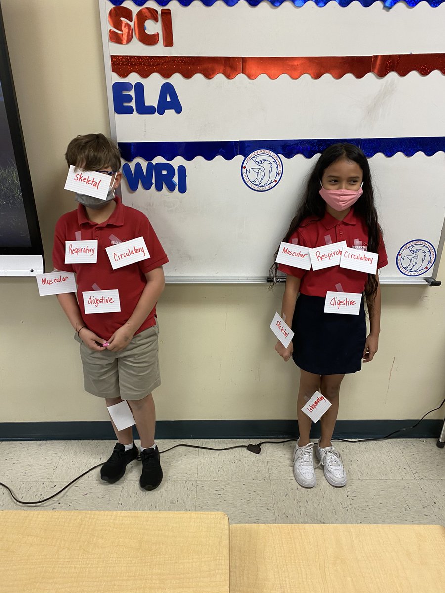 aliano_mr's tweet photo. Science class today...label the organs systems of your classmates #fun #organs #organsystems @LTMorris_EDU @CSUSAhq @CSUSAJonHage @NirvaniRamnath @JCrtwood @Mcmillon_hend @JimGrif97804047 https://t.co/wdvXQ8PGyw