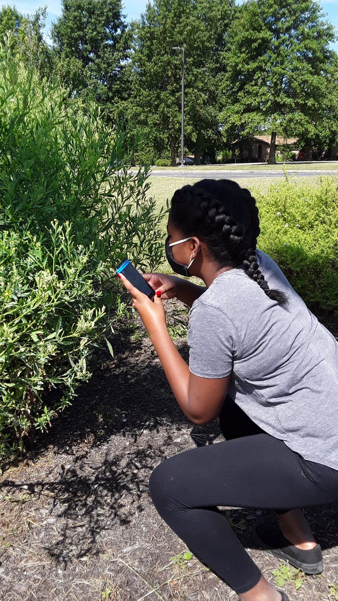 bluebirdfhsd's tweet image. Our #ExplorersMindset takes root locally by noticing, wondering, and being reminded of when observing nature. Ss have the budding skills, knowledge, and attitudes to be explorers; they just need the experiences to develop those further. #ConnectingFurther #ExplorerEducatorWeek