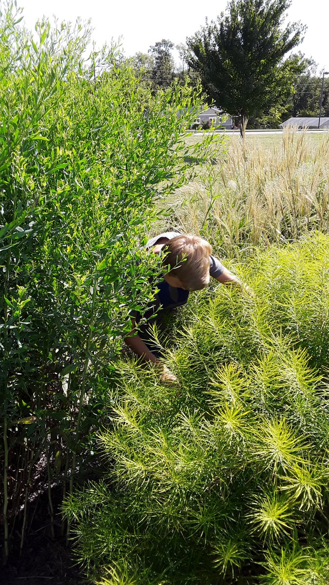 bluebirdfhsd's tweet image. Our #ExplorersMindset takes root locally by noticing, wondering, and being reminded of when observing nature. Ss have the budding skills, knowledge, and attitudes to be explorers; they just need the experiences to develop those further. #ConnectingFurther #ExplorerEducatorWeek