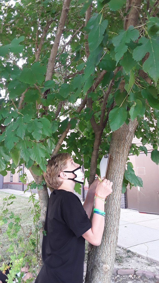 bluebirdfhsd's tweet image. Our #ExplorersMindset takes root locally by noticing, wondering, and being reminded of when observing nature. Ss have the budding skills, knowledge, and attitudes to be explorers; they just need the experiences to develop those further. #ConnectingFurther #ExplorerEducatorWeek