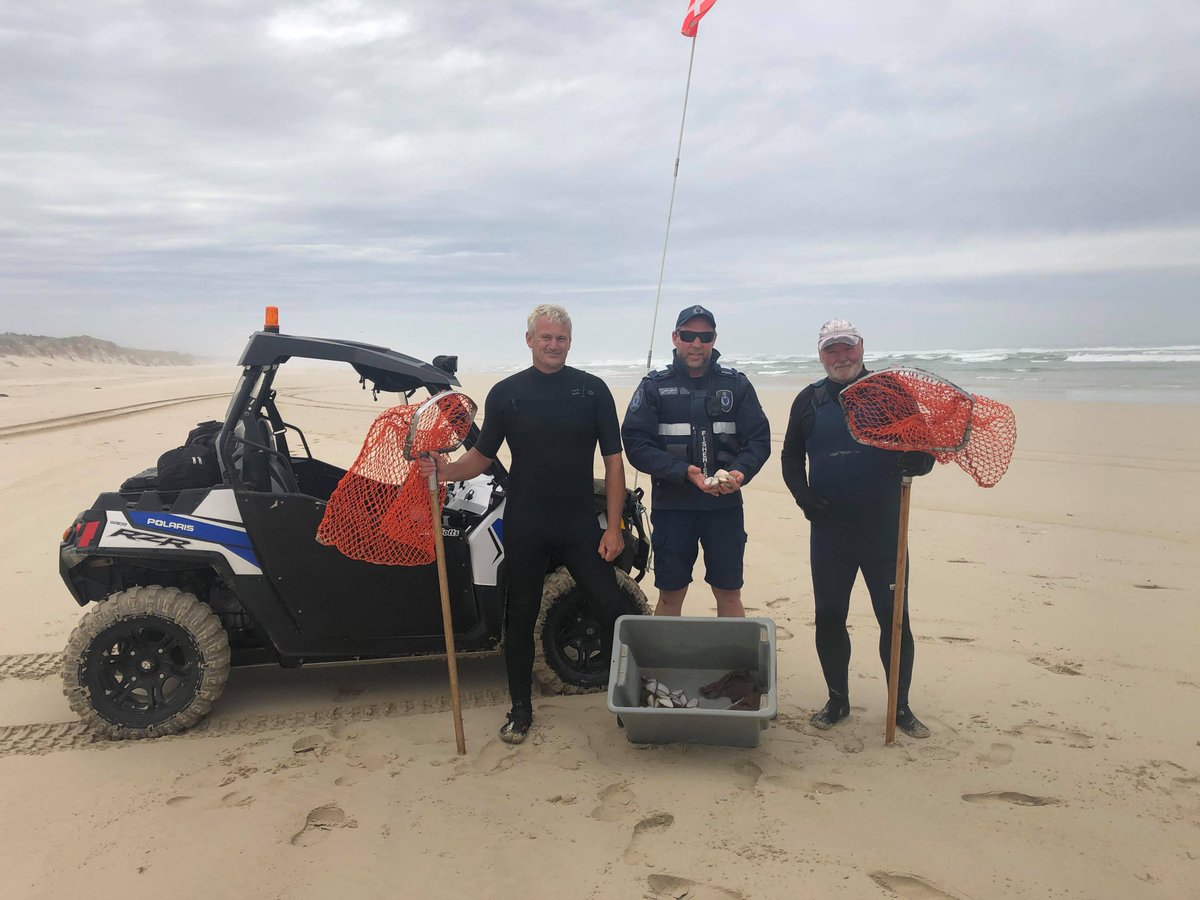 There are many things to uncover at Discovery Bay...the most popular being pipis! 
 
Portland Officers regularly patrol the area in their beach buggies, and often encounter commercial and recreational pipi fishers.

#pipis #fisheriesofficersatwork #discoverybay