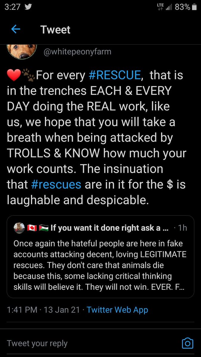Dragonhighking1's tweet photo. Hey @Twitter how about you do something productive for once &amp; put a stop to all the sickos trolling this amazing animal rescue..or do you just not care? https://t.co/5TleSnUDIc