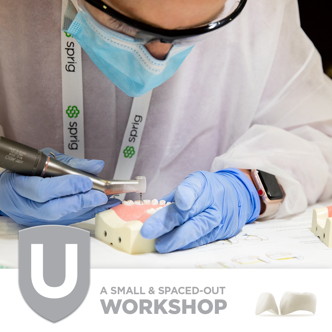 SprigUSA's tweet photo. SprigU 21, no matter the location or date:

- Socially distanced whenever possible 
- Six foot tables for each participant 
- Gloves and masks required for everyone 
- Surfaces &amp; supplies sanitized regularly 
- Health screening documents required 
- Limited to 25 participants https://t.co/nAgCLX3dxq