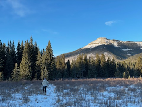 expansecottages's tweet photo. Some amazing pics from our recent guests! 🙌🙌

📸📸 Thanks for sharing Karin!!

#nordegg #nordegglife #nordeggalberta #nordeggadventures
#nordeggcabins #cabinlife #dtcountry #explorealberta #getoutside #discoveralberta #discovercentralalberta #explorecentralalberta #cozycabins https://t.co/0WRERQyjPY