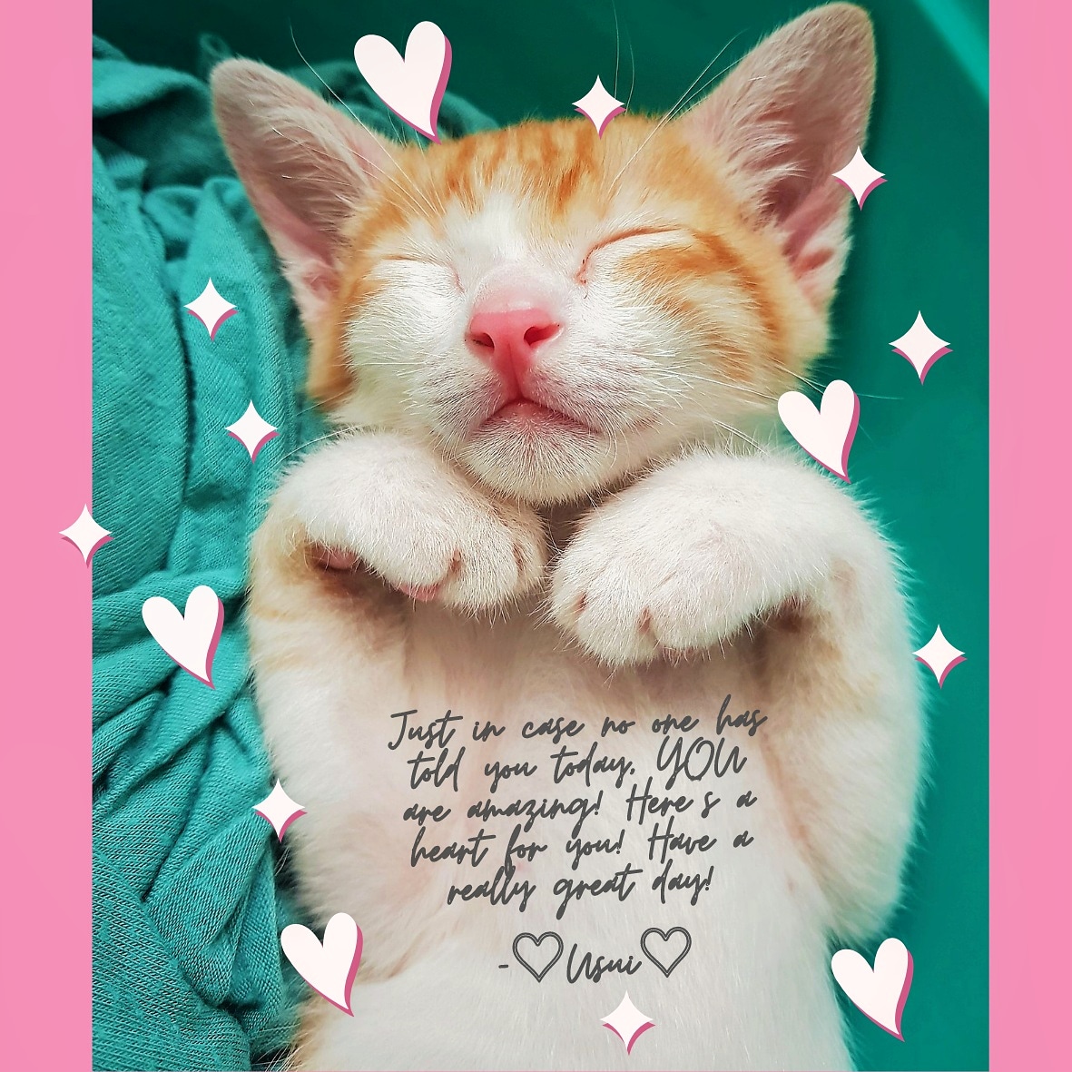 Just in case no one has told you today, YOU are amazing! Here's a heart for you! Have a really great day! ~♡Usui♡ 

🗓 Usui Nov 19, 2017 #throwbackthursday 

#puspin #rescuedkitten #catsofinstagram #neko #usuithecat #kitten #cats #catsoftwitter #tiktokpets #catsoftiktok