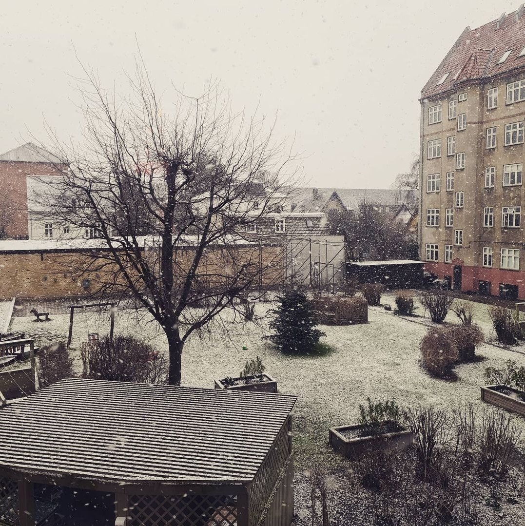 ittastic's tweet image. So I have decided to do something new this year. I want to take a picture of my tree and yard every second Sunday of the month. The name of my project is #secondsundaytree