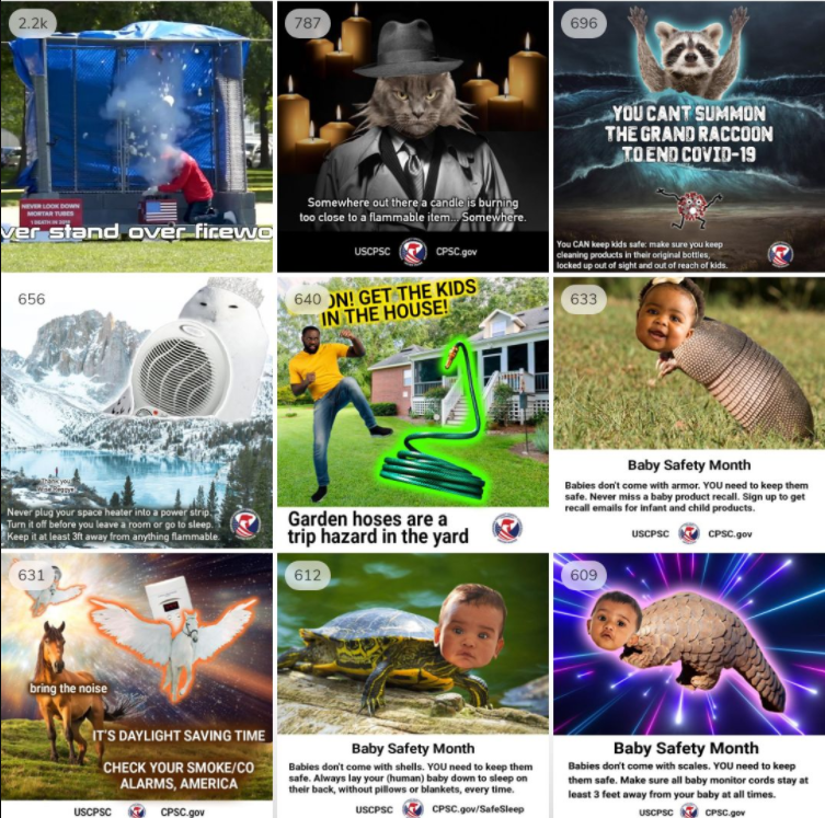 A collage of CPSC safety memes and videos from 2020 part of CPSC's Instagram top 9. Detective Jake Meowlowe, Armadillo Baby, Turtle baby, and the grand raccoon are all featured.