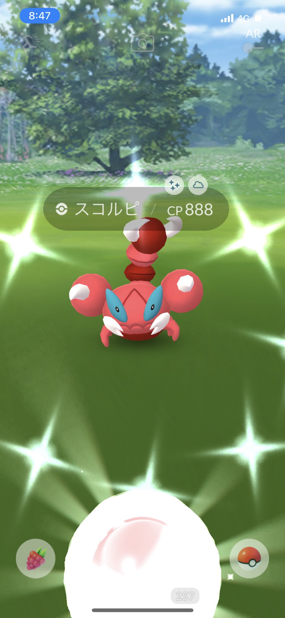 Shamo0811 ポケモンgo 赤サソリ出てくれました ゾロ目ってなんか良いよね ポケモンgo Pokemongo スコルピ 色違い 色違いスコルピ T Co N1bwvlolsc Twitter