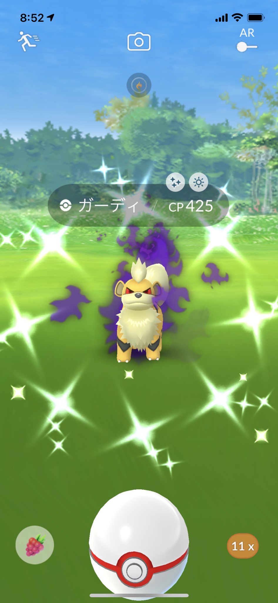 Choku 黄色いシャドウガーディ2匹目 ウインディに進化しました ポケモンgo ガーディ T Co 1lj01hxela Twitter