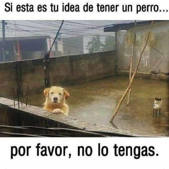 Defenzoores tweet picture
