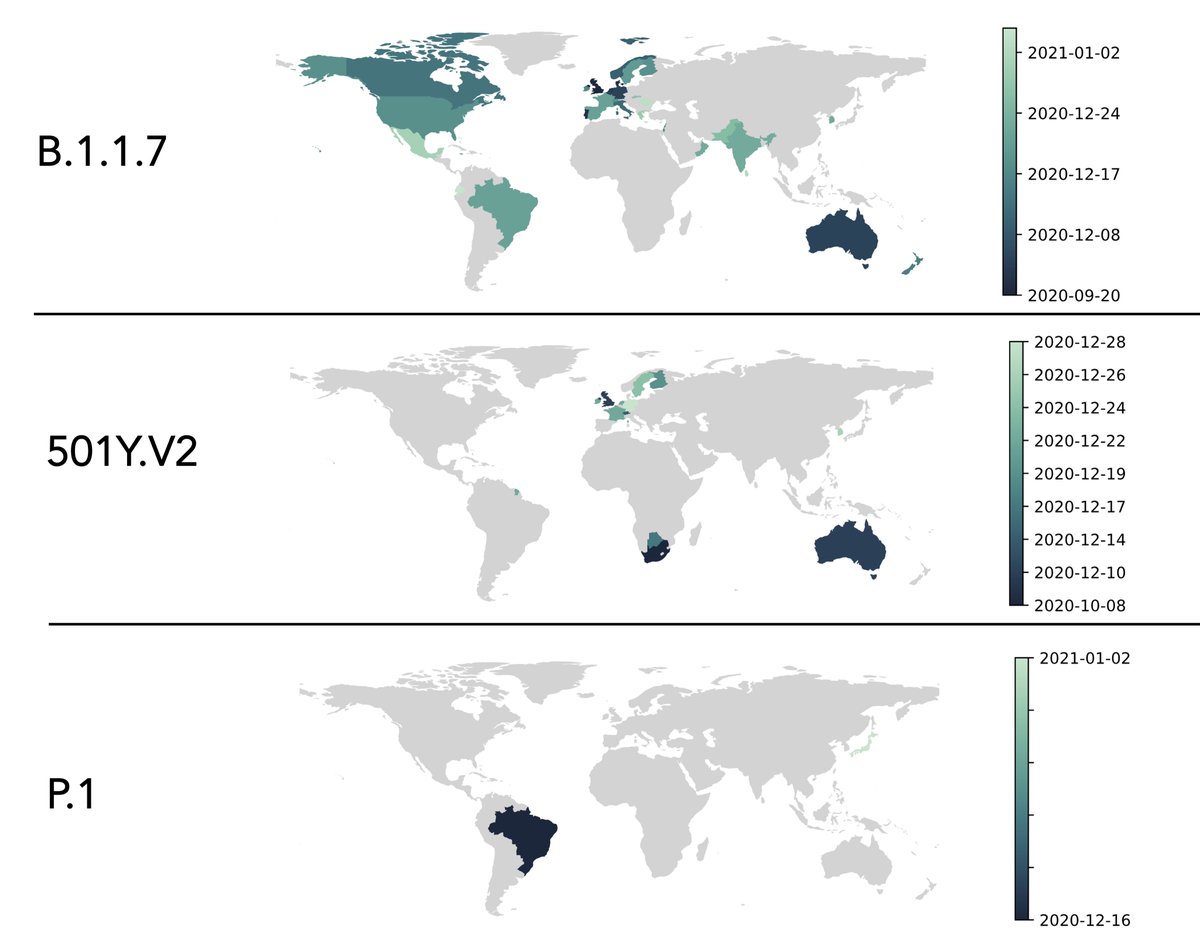 The 3 #SARSCoV2 variants/strains update
Where they have appeared and when
1. B.1.1.7  "UK"
2. 501Y.V2 (aka B.1.351) "South Africa"
3. P.1 "Brazil" (also seen in travelers Brazil to Japan)
No other new lineages/variants/strains of concern at this time
cov-lineages.org/global_report.…