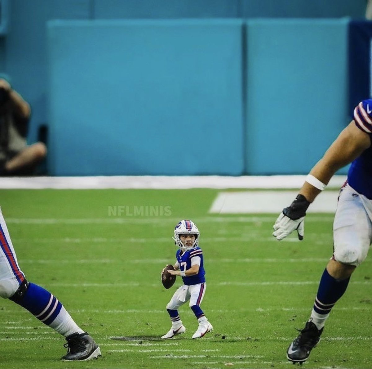 BuffaloBills's tweet photo. miniBills. 😂😂 https://t.co/tfchSbresy