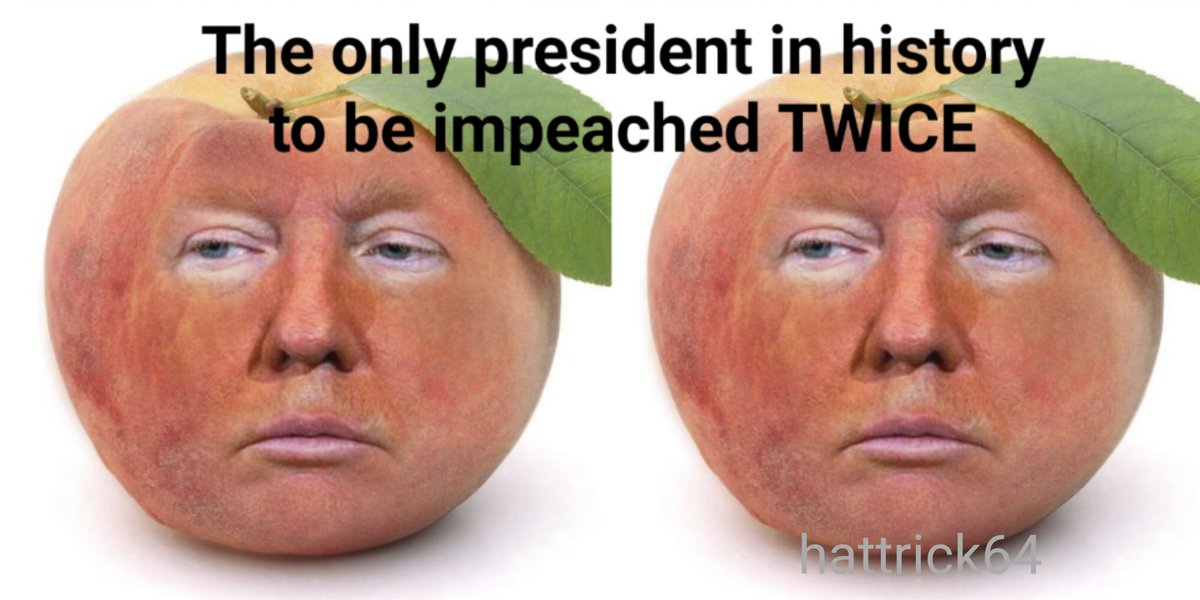 BlueRidgeGnome's tweet photo. @SteveHofstetter https://t.co/72ALJRVUIm
