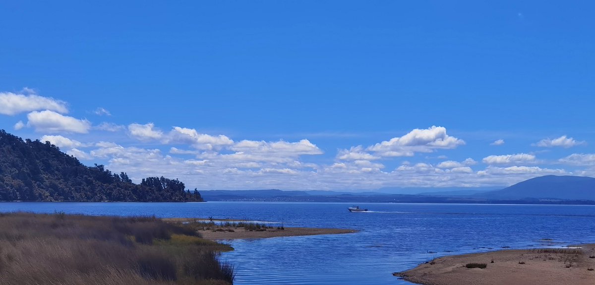 shoppingpig's tweet photo. 世外大美好～
无滤镜随手拍
#出游
#LakeBrunner
#新西兰南岛 https://t.co/7IRhcjpY6B